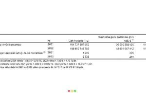 arastirma-gelistirme-faaliyetleri-arastirmasi-2022-5R7q9IpQ.jpg