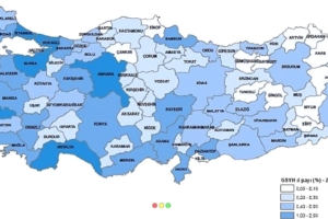 gayrisafi-yurt-ici-hasiladan-gsyh-en-yuksek-payi-yuzde-304-ile-istanbul-aldi-VqQ2pSdm.jpg